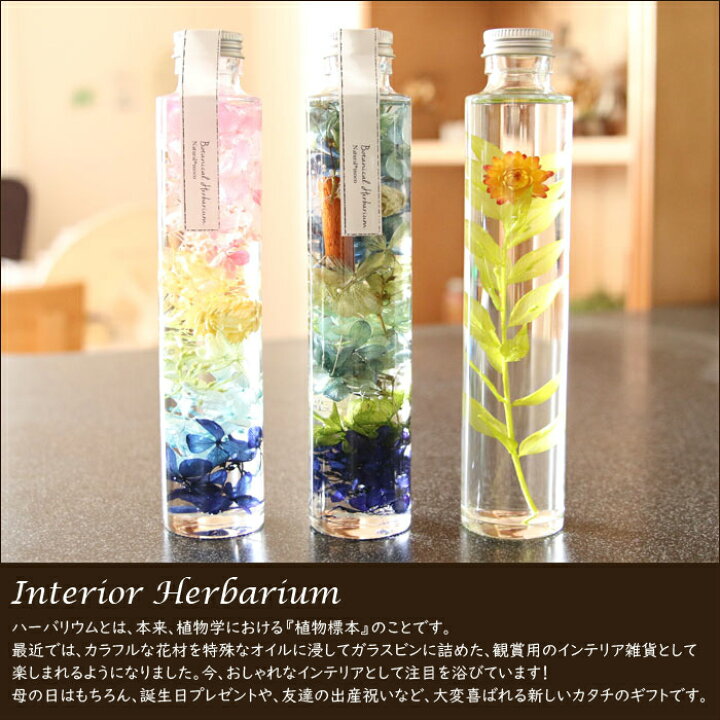 楽天市場】ハーバリウム 完成品 （お花畑） 春 花 カラフル ポップ 