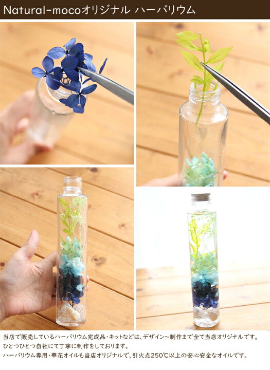 楽天市場】ハーバリウム 完成品 （お花畑） 春 花 カラフル ポップ 
