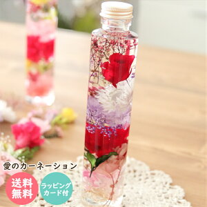 [bsOEJ[ht] ̓ n[oEi1{ ĩJ[l[VEv~Aj ̓Mtg J[l[V  bh v[g Mtg  AW t[