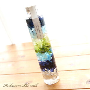 n[oE n yiz a EARTH ̓ j v[g Mtg  AW j  av[g hV̓ C u[   O[