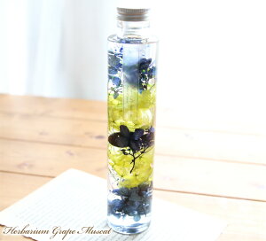 ハーバリウム グレープ&マスカット 【完成品】 グリーン ブルー ぶどう フルーツ ベリー 誕生日 父の日 プレゼント ギフト 花 アレンジ 結婚祝い 結婚 誕生日プレゼント 敬老の日 フラワー