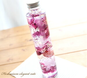 n[oE GKgL[g yiz GKg p[v   a ̓ v[g Mtg  AW j  av[g hV̓ t[ AWT