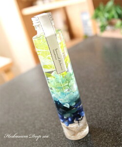 yiz n[oE [C AW{ C u[    v[g a ̓ o^Cf[ j Mtg hV̓