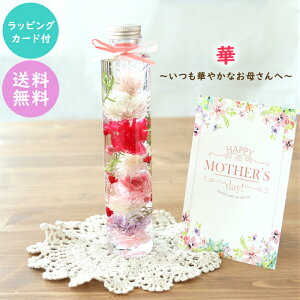 [bsOEJ[ht] ̓ n[oEi1{ i؂̃J[l[VEv~Aj ̓ Mtg J[l[V sN v[g Mtg  t[ vU[uht[ 