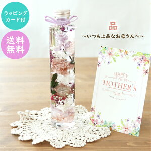 [bsOEJ[ht] ̓ n[oEi1{ iĩJ[l[VEv~Aj Mtg J[l[V I[hsN sN GKg NVbN v[g Mtg  t