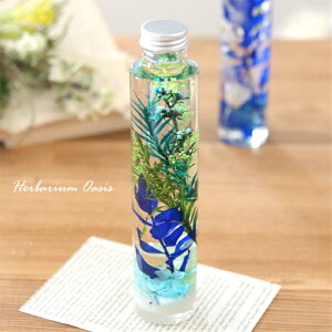 n[oE IAVX iOasisjyiz  O[   R u[ v[g Mtg  AW j  av[g ̓ t