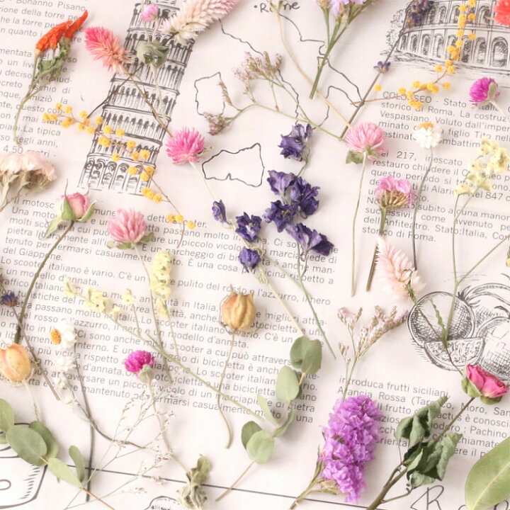 楽天市場】席札用 5cm 茎付き ドライフラワー セット 席札 40本 60本  