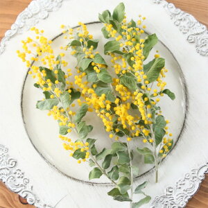 2025N ~U p[AJVA hCt[ 3{Zbg i1520cmOj Y ^t ԍ 炫 n[oE W A} nhCh Lh TVF ̓ [X f X