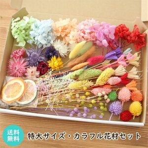 Ⴡ[ւő yTCYz Jt ԍރZbg [ hCt[ lߍ킹 ԍ Lbg vU[uht[ AWTC Vo[f[W[ ݑ n[oE A}