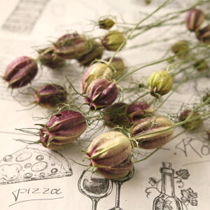 jQ hCt[ 20{ y N^l\E t[Z|s[ Y kCY ԍ f nhCh ޗ [X t[AWg n[oE z