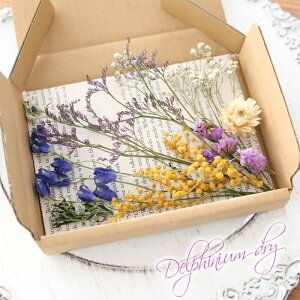 hCt[ lߍ킹 ԍ Zbg MIX iftBjE BL-1j y n[oE W A} nhCh Lh TVF ̓ Y z