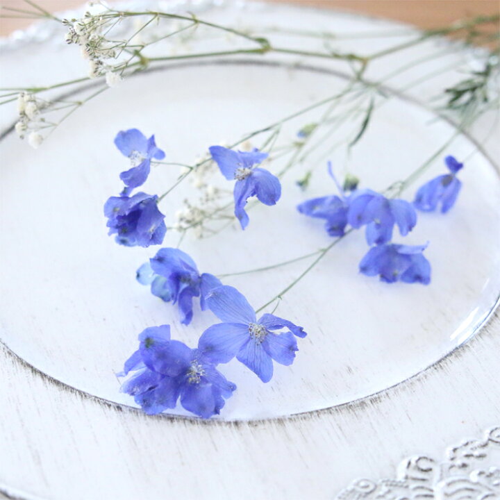 楽天市場 デルフィニウム ブルー2本 カスミ草1本 セット ドライフラワー 花材 特殊加工により花びらが ほとんど縮んでおりません ハーバリウム花材店 Natural Moco