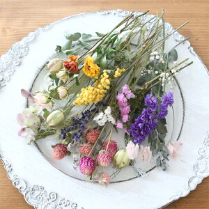 15 lߍ킹 hCt[ ԍ Zbg iA^Cvj X^[`X p[AJVA [J VG_MN g |Avc ~U jQ x_[ ftBjE Xv[o