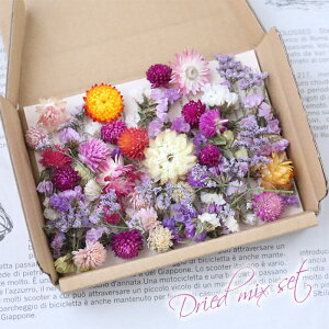 yg X^[`X wNT HBX^[`Xz hCt[ ԍ lߍ킹 Zbg