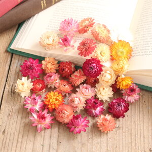 wNT Ղ 30 Zbg iF TCY MIXj{܂5֕ty hCt[ L׍H MMN Y z