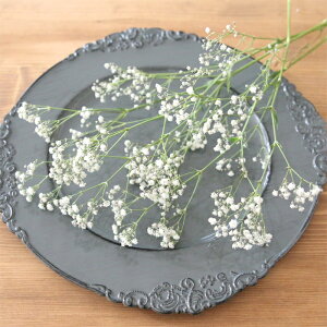 ݑ 3{ y Y  hCt[܂͔hC ԍ z