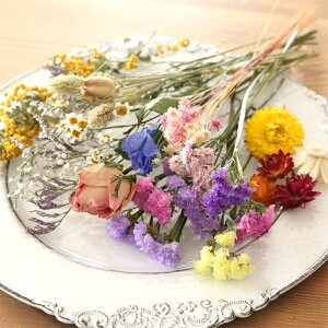 �h���C�t�����[ �ԍ� �l�ߍ��킹 MIX �iB5-A�j �y �n�[�o���E�� ���W�� �A���} �n���h���C�h �L�����h�� �T�V�F ��̓� ���Y �z