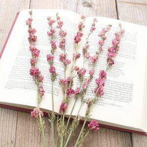 [NXp[ 7{ isNj `h\E 璹 hCt[ ԍ f Y  XbO u[P ֑} nhCh Ntg t[  bX [NVbv Cxg 