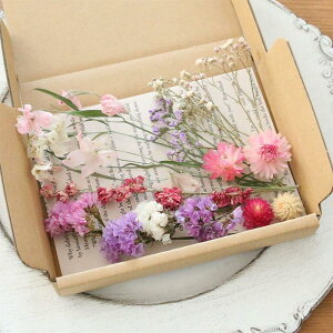 yftBjE sNnz hCt[ lߍ킹 ԍ Zbg MIX [ X^[`X g ftBjE [NXp[ wNT JX~ HBX^[`X ]