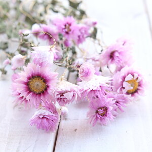 [_Z sN 10{ [hCt[ Y  n[oE ֑} nhCh ԍ f ]