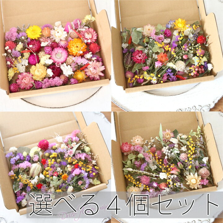 楽天市場】【選べる人気花材4個セット】ドライフラワー 花材セット 