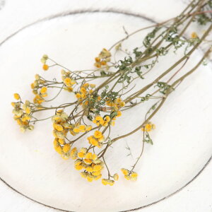 ^W[ hCt[ | ԍ Y CG[ F XbO ݂邷 nMO nhCh n[oE ޗ XbO u[P ԑ A} Lh [X ANZT[ f [N