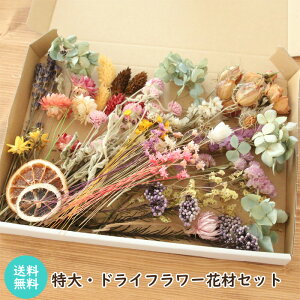 Ⴡ[ւő yTCYz hCt[ ԍރZbg [ n[oE lߍ킹 ] CXt[p[v̐FɕύXI