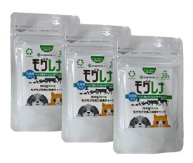 楽天市場 ミドリムシ サプリメント ペット ペットグッズ の通販