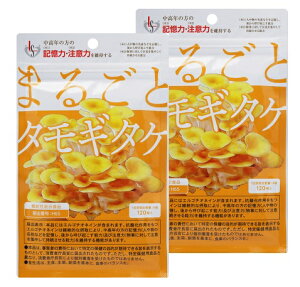 ܂邲ƃ^M^P 120 2Zbg s