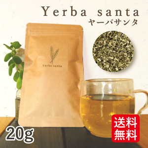 [oT^y_ n[ueB[ 20gz CGoT^( 쐶 mJtFC ) n[u ACXeB[ t n[u 