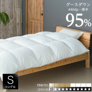 Hѕzc |zc VO 150×210cm nK[Y gbvO[h zCgO[X_E95% 440dp y {n 100% [ܕt 󒍐Y 10Nۏؕt | |  ʌ 2w