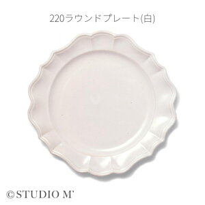 X^WIM' }m 220Ehv[g studio m' X^WIG  O[ _[NO[ H  { M v[g  Eh Ehv[g  Vv i`  킢