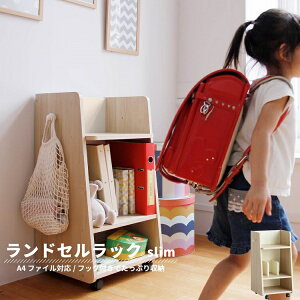 hZbN LX^[t X  ؐ 45cm Vv k i` G{bN  q rO [ tbNt