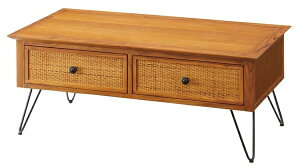 Z^[e[u  [ o [e[u rOe[u rt \t@O ؐ 100cm s50cm i` AWA Jg[