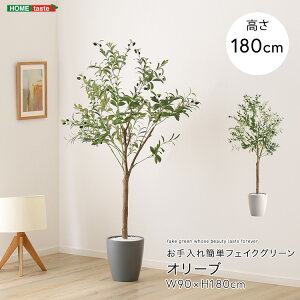 お手入れ簡単 フェイクグリーン オリーブ Lサイズ (180cm) 人工観葉植物 観葉植物 フェイク グリーン 大きい 大きめ 鉢付き 簡単お手入れ おしゃれ リビング