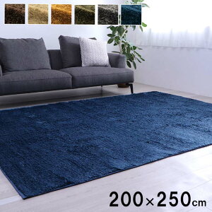 O ` 200×250cm 3 􂦂  O}bg VM[O 傫 傫 zbgJ[ybgΉ I[V[Y ʊ~ ܂肽 JWA |bv