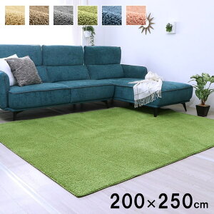 O ` 200×250cm  􂦂 O}bg 傫 傫 zbgJ[ybgΉ I[V[Y ܂肽 ʊ~ O~ イ Jt |bv