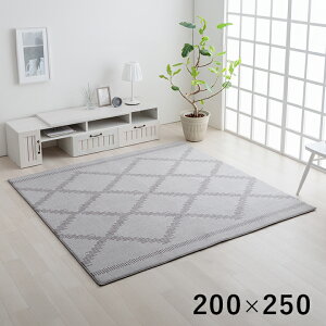 O}bg 200×250cm O J[ybg 傫 傫 O~ イ ` 􂦂  ͂ ӂ NbV ʊ~ zbgJ[ybg gΉ  iq xj