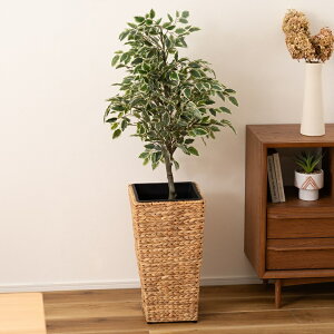 v^[Jo[ Ci[t W29×D29×H52.5cm 7p lp p^   EH[^[qVX Aؔ Jo[  ԑ v^[pnC^Cv ϗtA CeA i` 