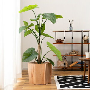 v^[Jo[ W38×D38×H30cm Ebhv^[ ؐ  VR Ebh  i` ϗtA fBXvC  Jo[ AؔJo[yEbhv^[Sz