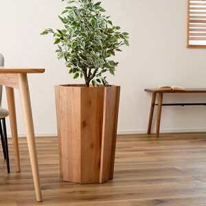 v^[Jo[ W42×D42×H60cm Ebhv^[ ؐ  VR Ebh  i` ϗtA fBXvC  Jo[ AؔJo[yEbhv^[Lz