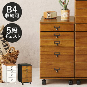 `FXg 5i ()33×s43.5×60cm o o ؐ LX^[t  B4   [ [ fXNTCh fXN  }``FXg ؖڒ AeB[N Ce
