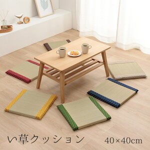 �����N�b�V���� ��40×40cm �N�b�V���� ���z�c �������z�c ������� �֎q�p �����` �l�p ���_�� �a�� �m�� ���r���O �� �ėp ������ �C�O�T ���L���ʁy���D�z