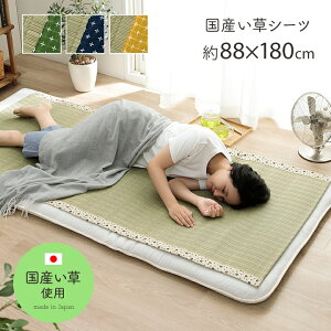 い草シーツ 約88×180cm 井草シーツ いぐさシーツ 寝ござ 日本製 日本産 国産 い草 いぐさ イグサ 夏 夏用 モダン 和室 洋室 寝具 夏用寝具 消臭効果 シンプル ナチュラル【詩織】