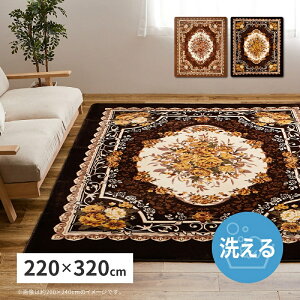 O O}bg 220×320cm zbgJ[ybgJo[ ` 傫 傫 􂦂 zbgJ[ybgΉ g[Ή I[V[Y ʊ~  ԕ  GKg VbN