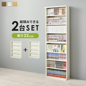 ubNbN 2Zbg ()60×s22×90cm/1 {I R~bNbN fBXvCbN X ^ e  RpNg I cς ׂ R~bN{ { CD DVD  q