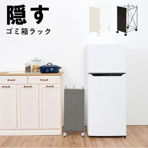 ʂݔbN ()26×s40×60.5cm S~ S~  LX^[t X   bN  ^ _[NuE O[ zCg 