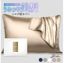シルク 枕カバー シルク100% 22匁 35×50 43×63cm 50×70 ピローケース まくらカバー 枕カバーシルク 洗える 洗濯機可 大きめ ヘアケア うるつや美髪 プレゼント SEAWIND