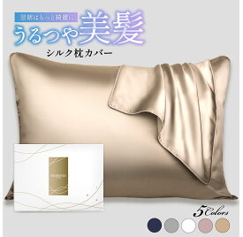 シルク 枕カバー 片面シルク100% 22匁 35×50cm 43×63cm 50×70cm シルク枕カバー まくらカバー 枕カバーシルク 洗える 洗濯機可 大きめ ヘアケア うるつや美髪 プレゼント SEAWIND