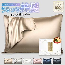 【本日23:59まで! 10%OFFクーポン配布中!!】シルク 枕カバー 片面シルク100% 22匁 35×50 43×63cm 50×70 ピローケース まくらカバー 枕カバーシルク 洗える 洗濯機可 大きめ ヘアケア うるつや美髪 封筒式 SEAWIND